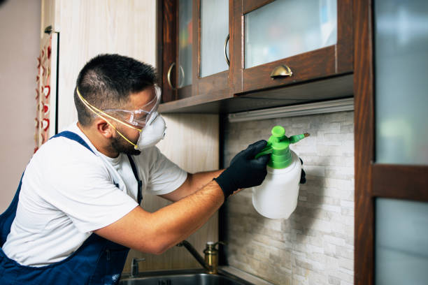 Best Pest Removal Services  in Wonder Lake, IL