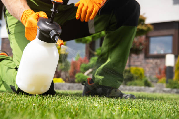 Best Spider Control Near Me  in Wonder Lake, IL