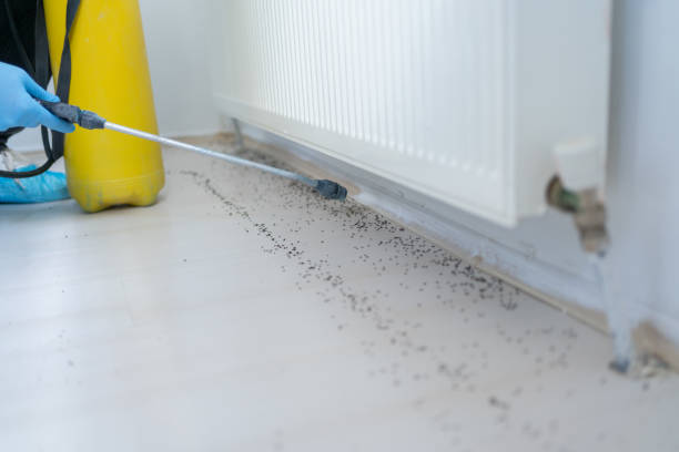 Best Insect Control  in Wonder Lake, IL