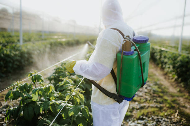 Best Pest Control for Restaurants  in Wonder Lake, IL